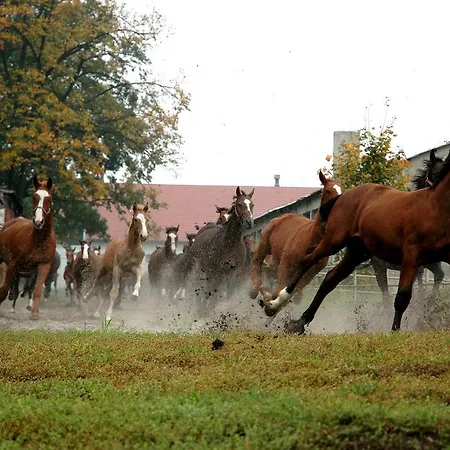 Palac Racot Koscian