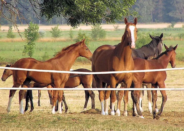 Hotel Palac Racot Koscian